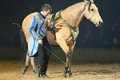 Apassionata_2014    114
